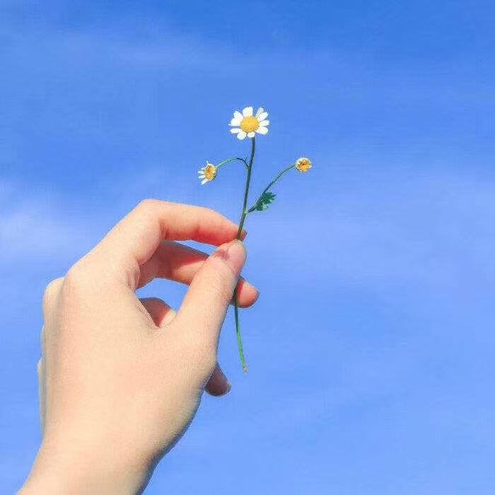 素素
