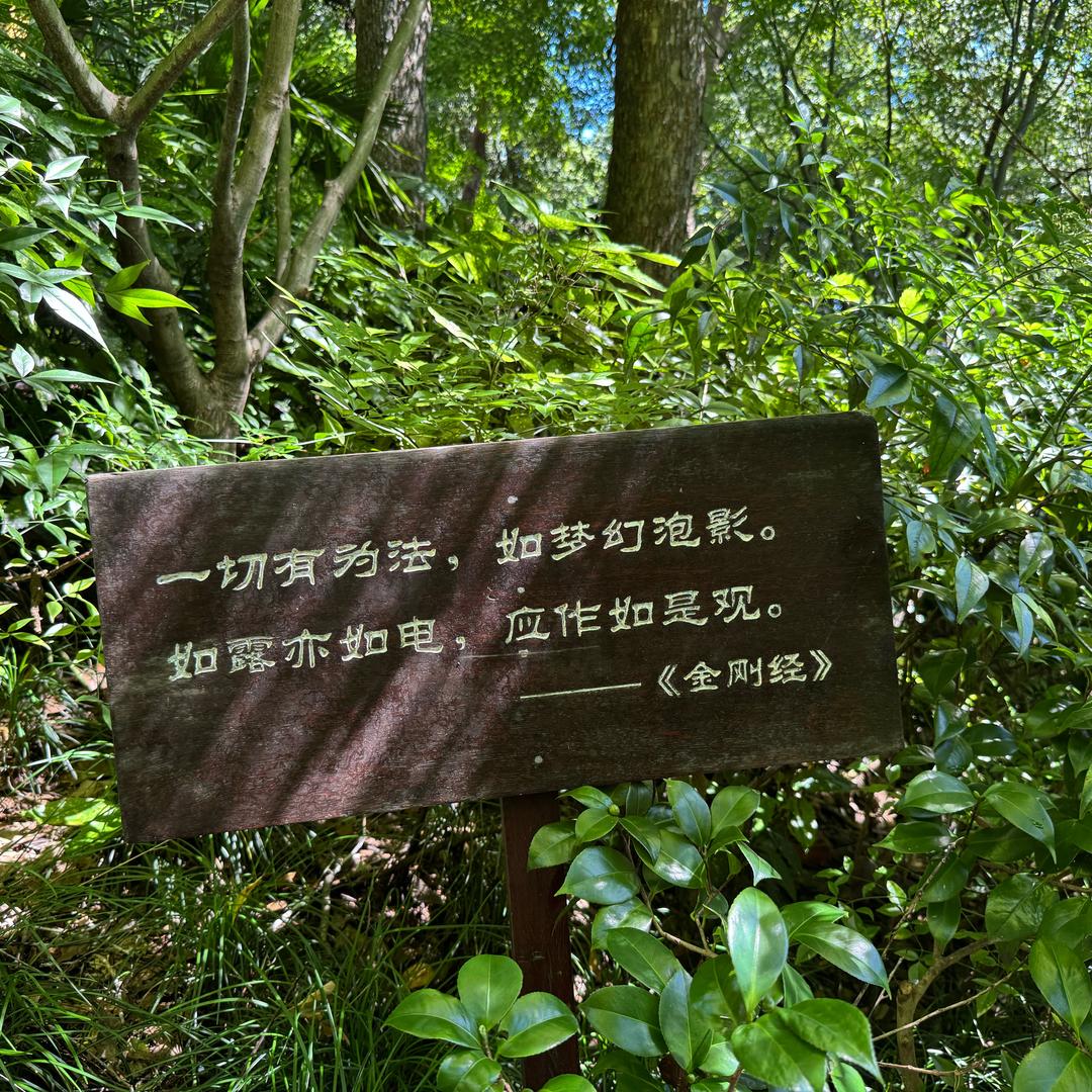 大道无形