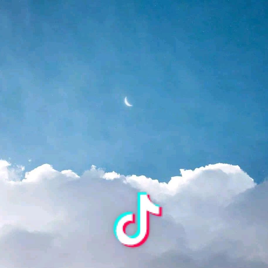 柚子橘
