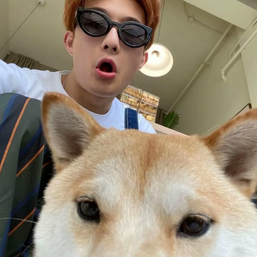 爱吃泡芙的土拨鼠