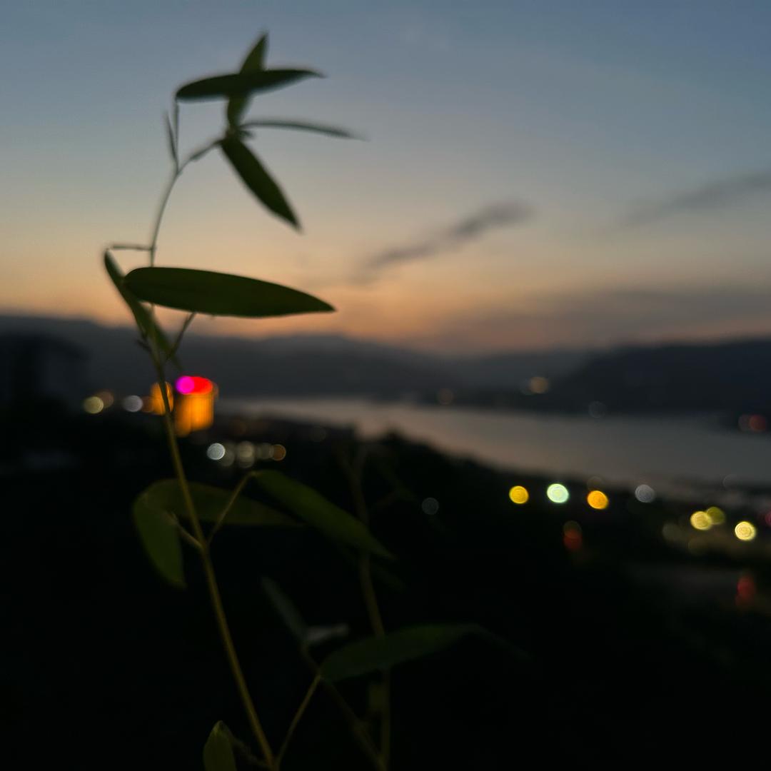小蔡啊