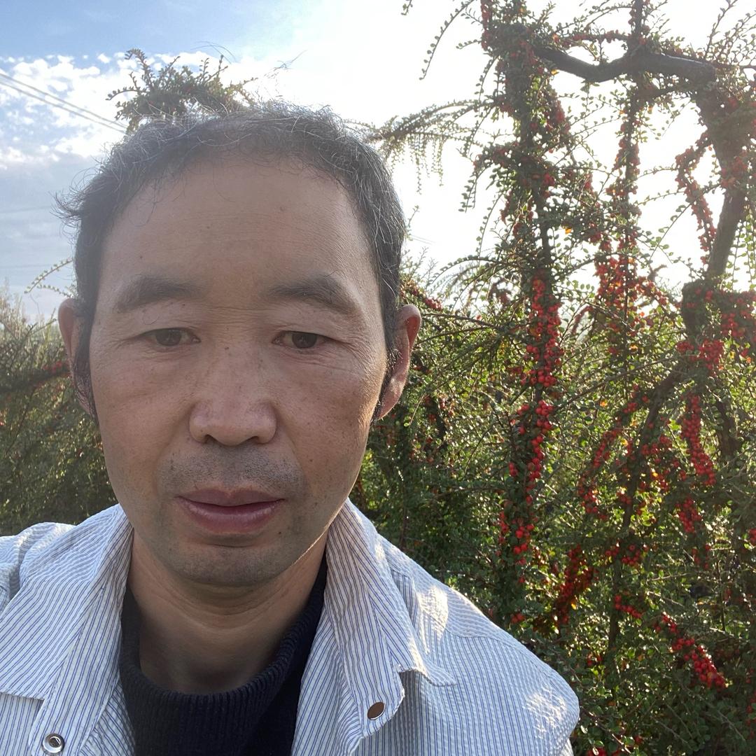 福寨精美盆景小铺