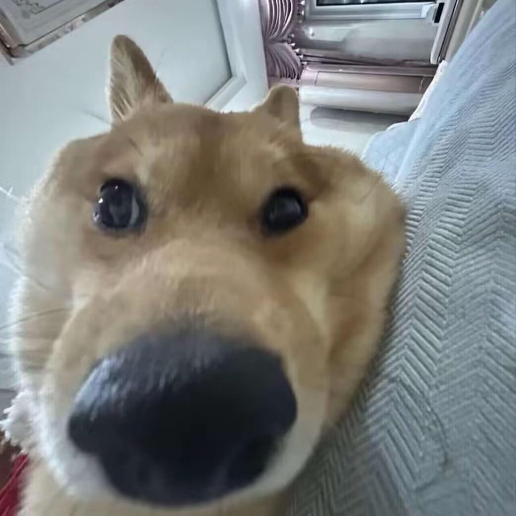 有酷之剪