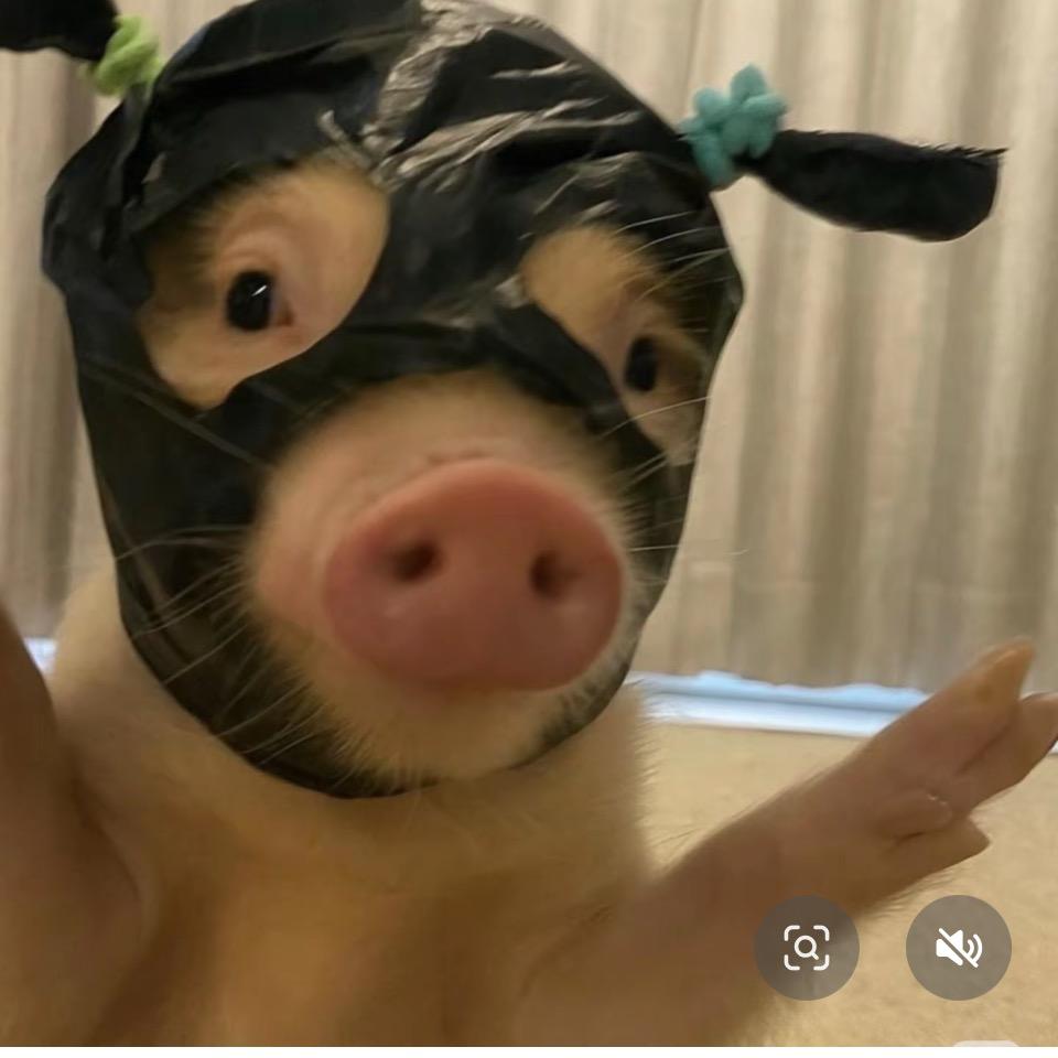 ……