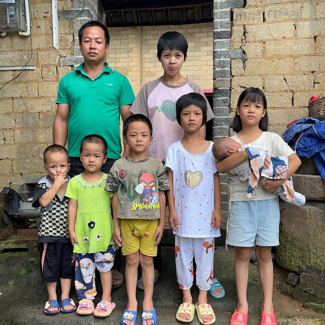 六个孩子的老马