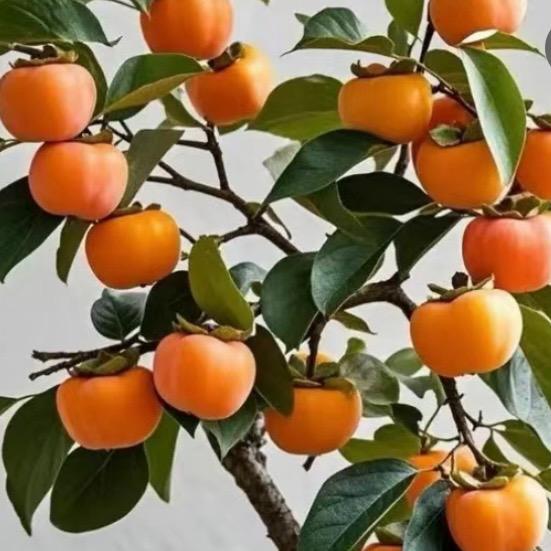 爱已欠费！四川达州开江