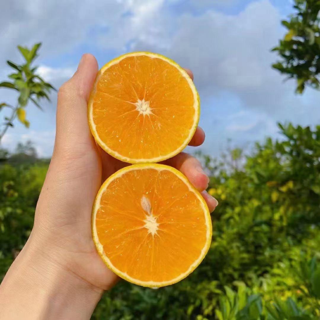 鲜果润家农产品