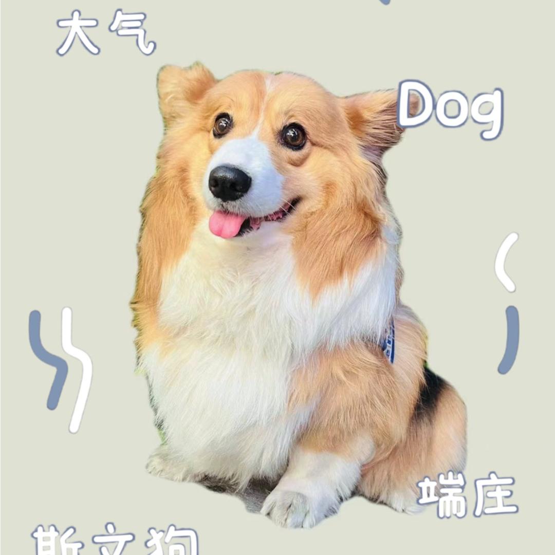 @！