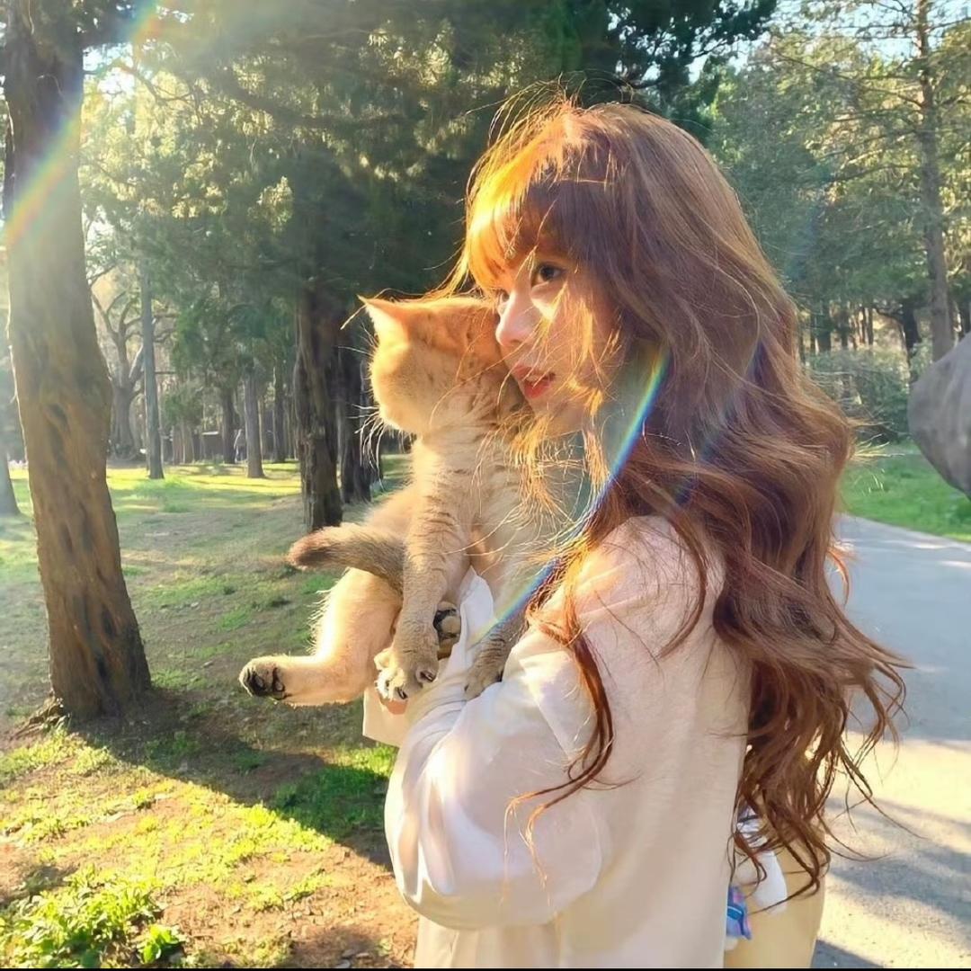 ʚ小羊咩咩ɞ