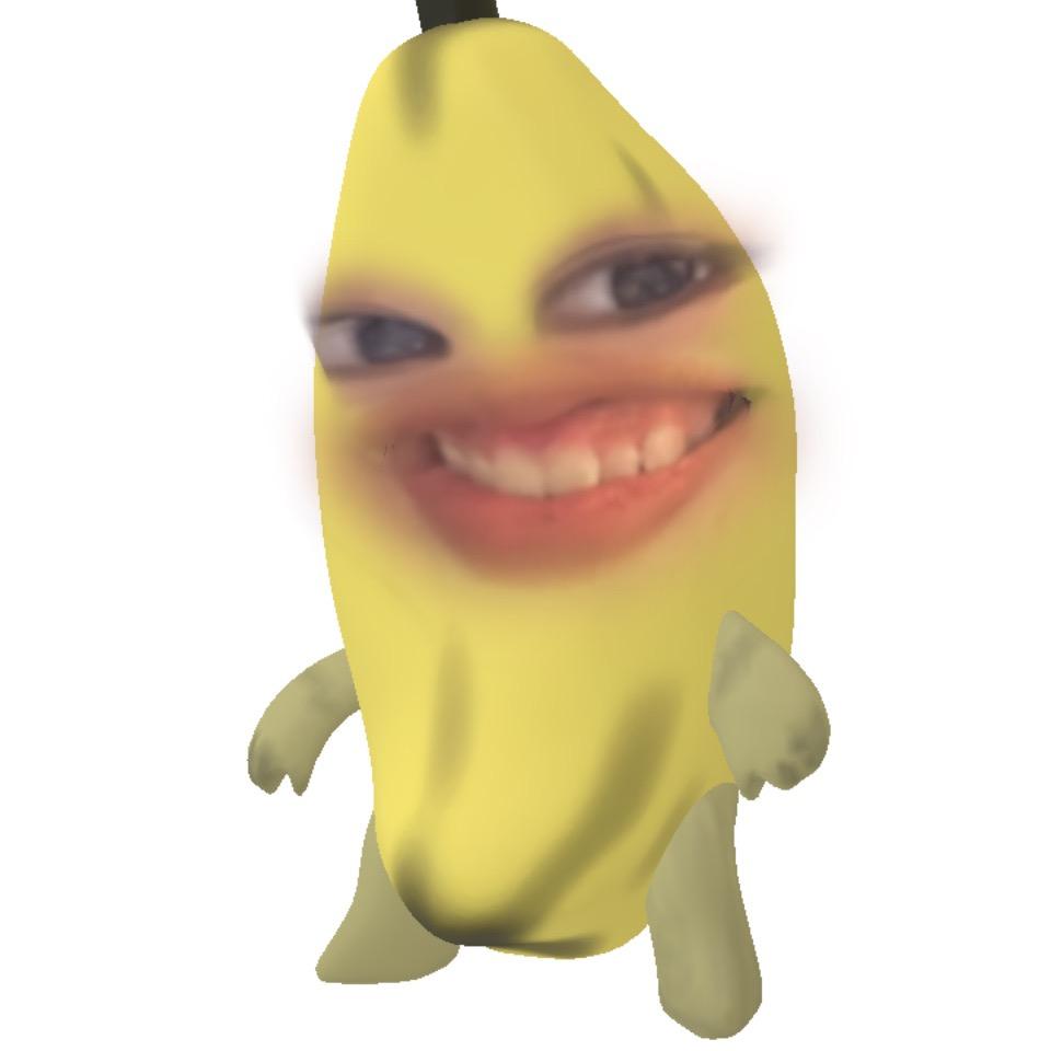 车车鼠