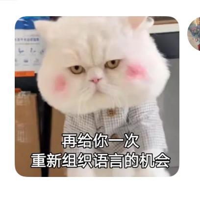 臭乖