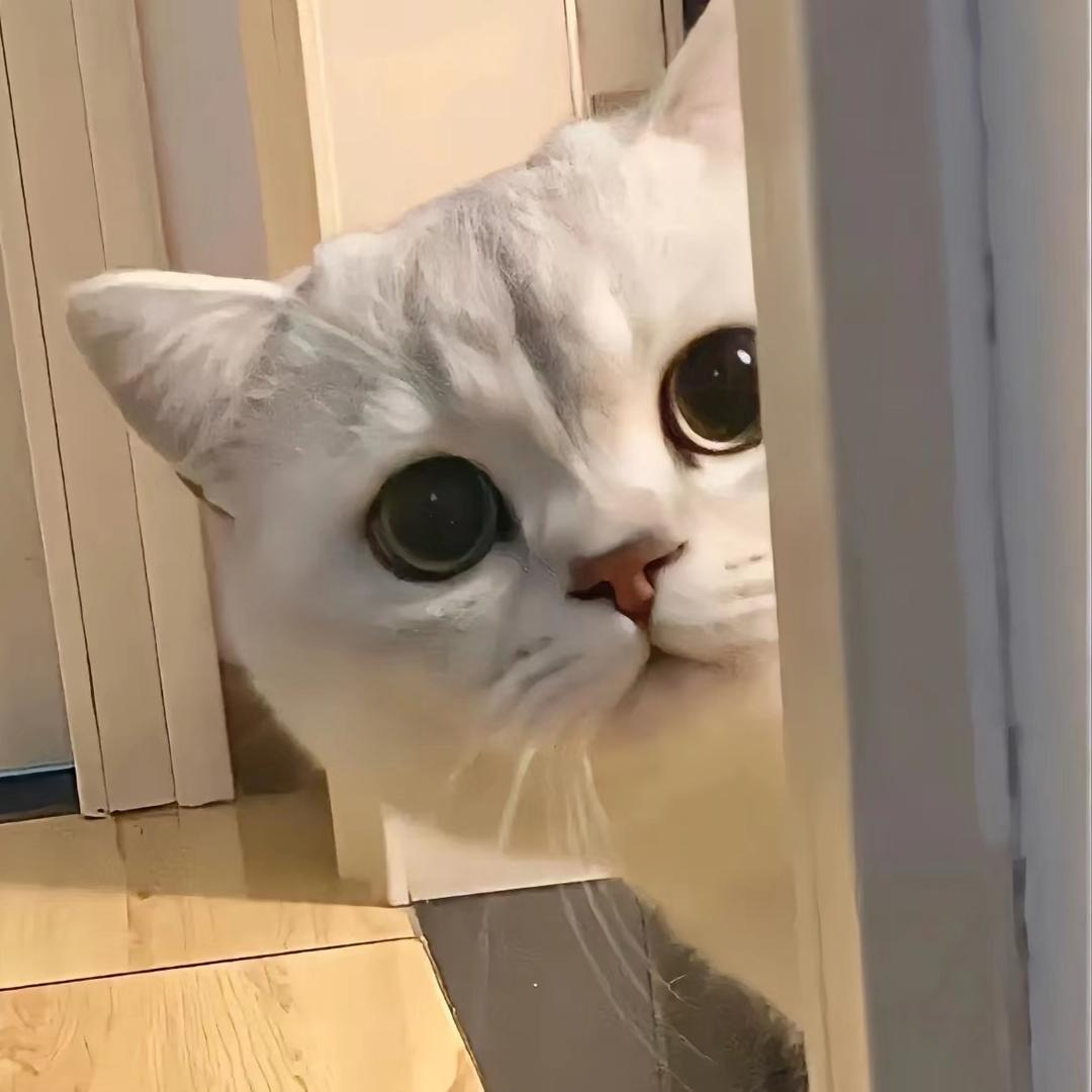 念念