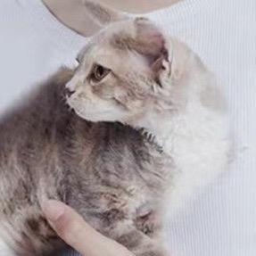 滴答滴答