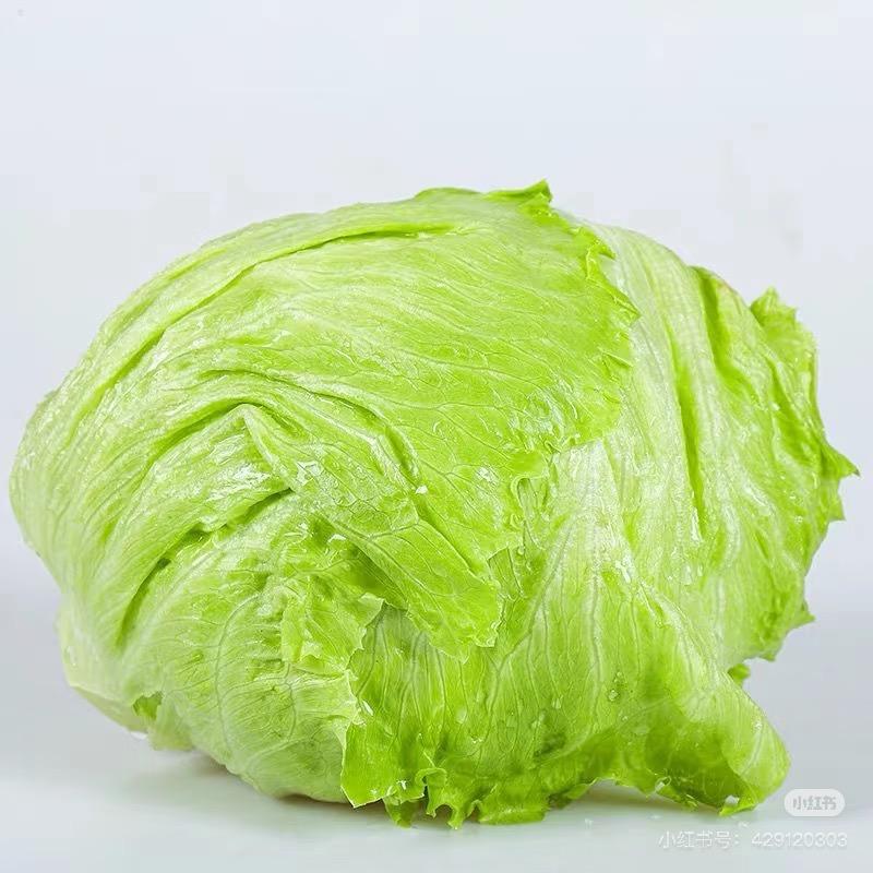 绿野仙踪🥬