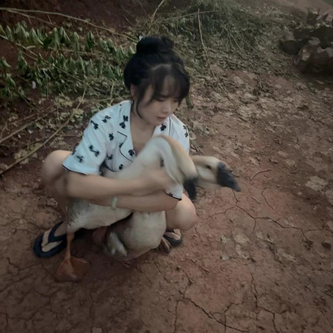 包包菜🥬