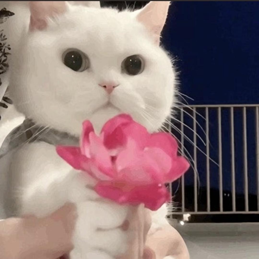 讨厌黑眼圈🌑 ᴳ⁹