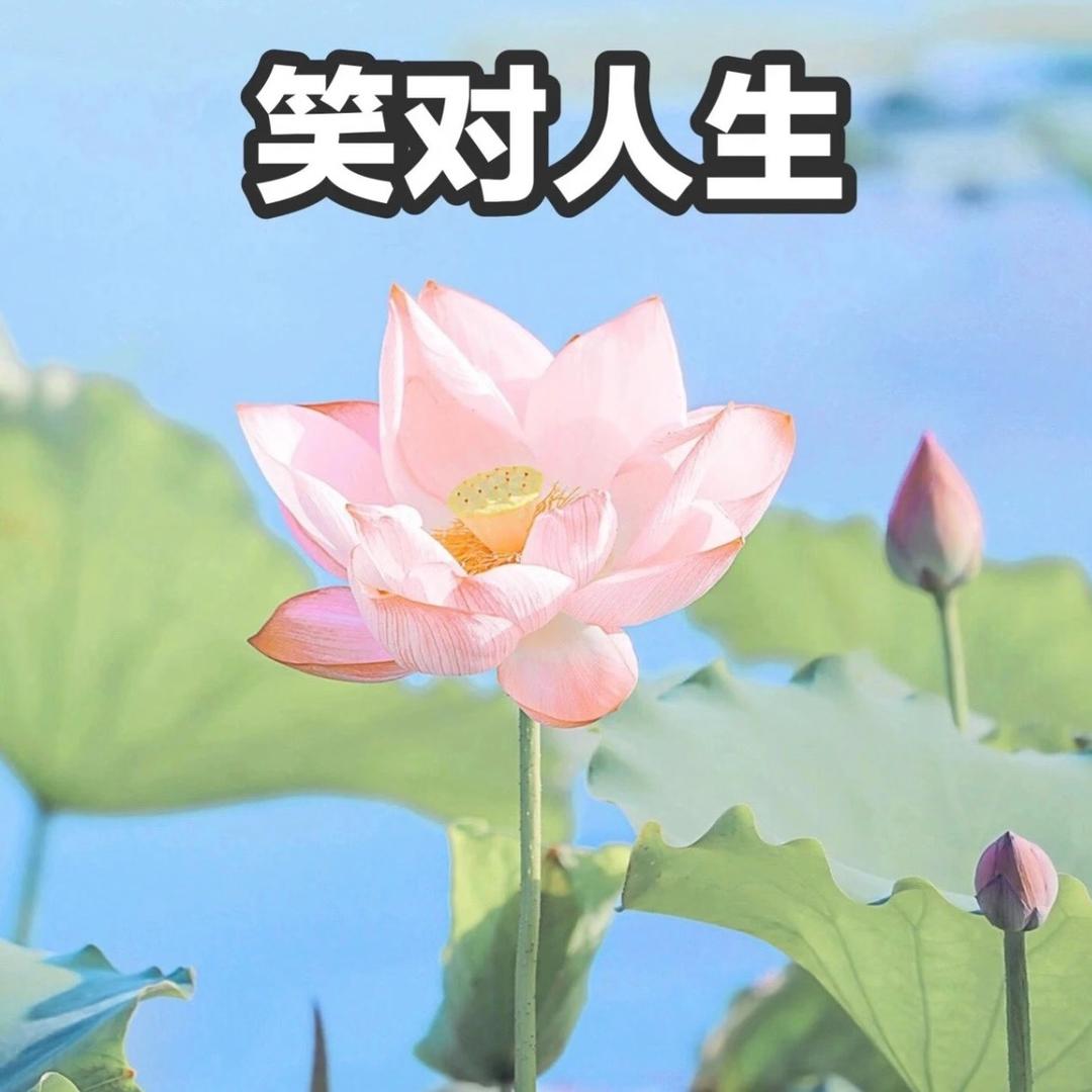 男神跟同跑路了
