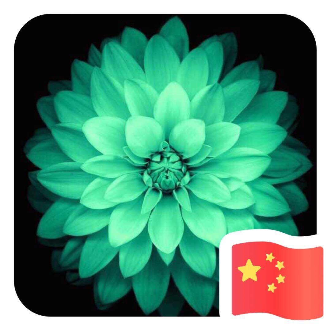 🔥万祥电脑车线🔥