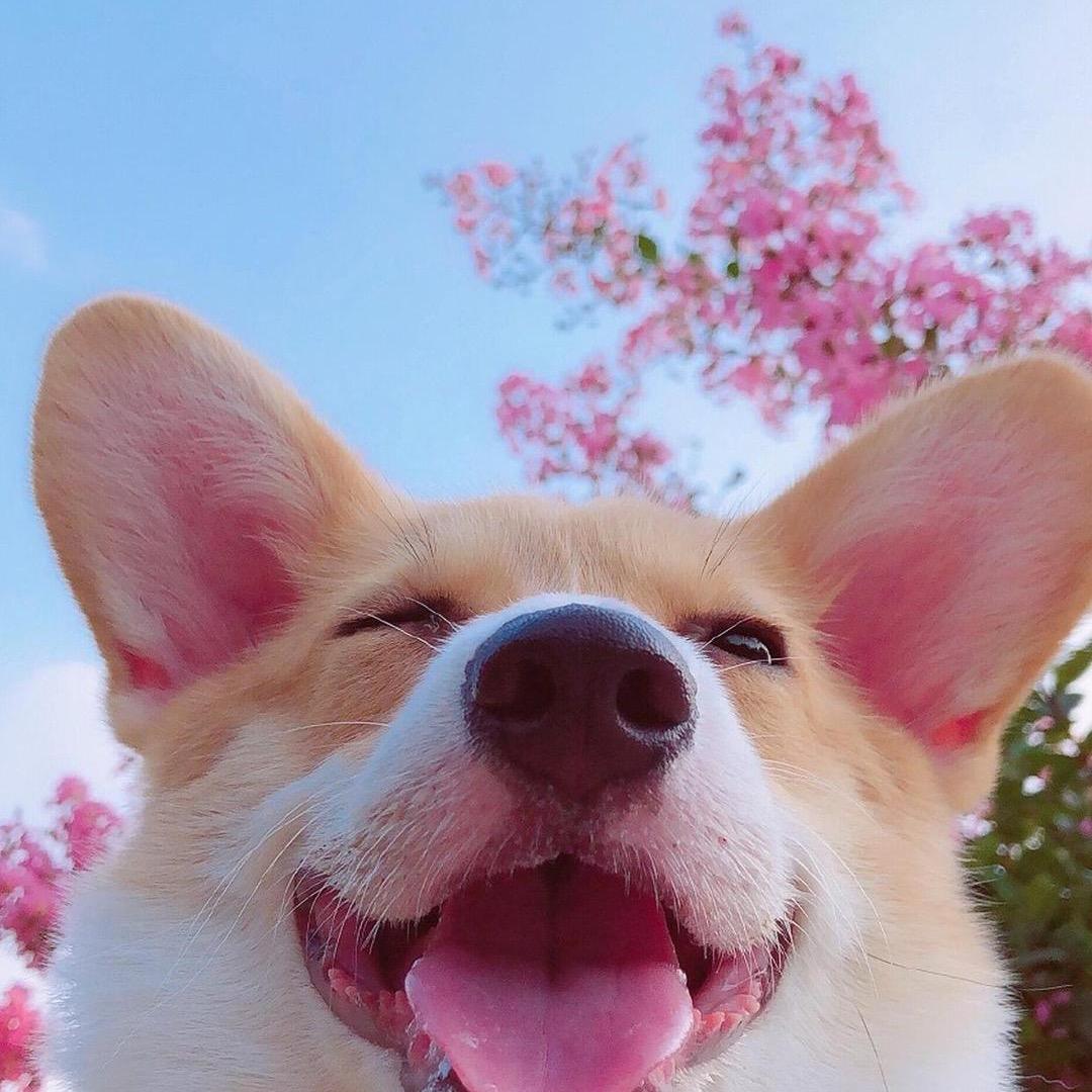 锦阎