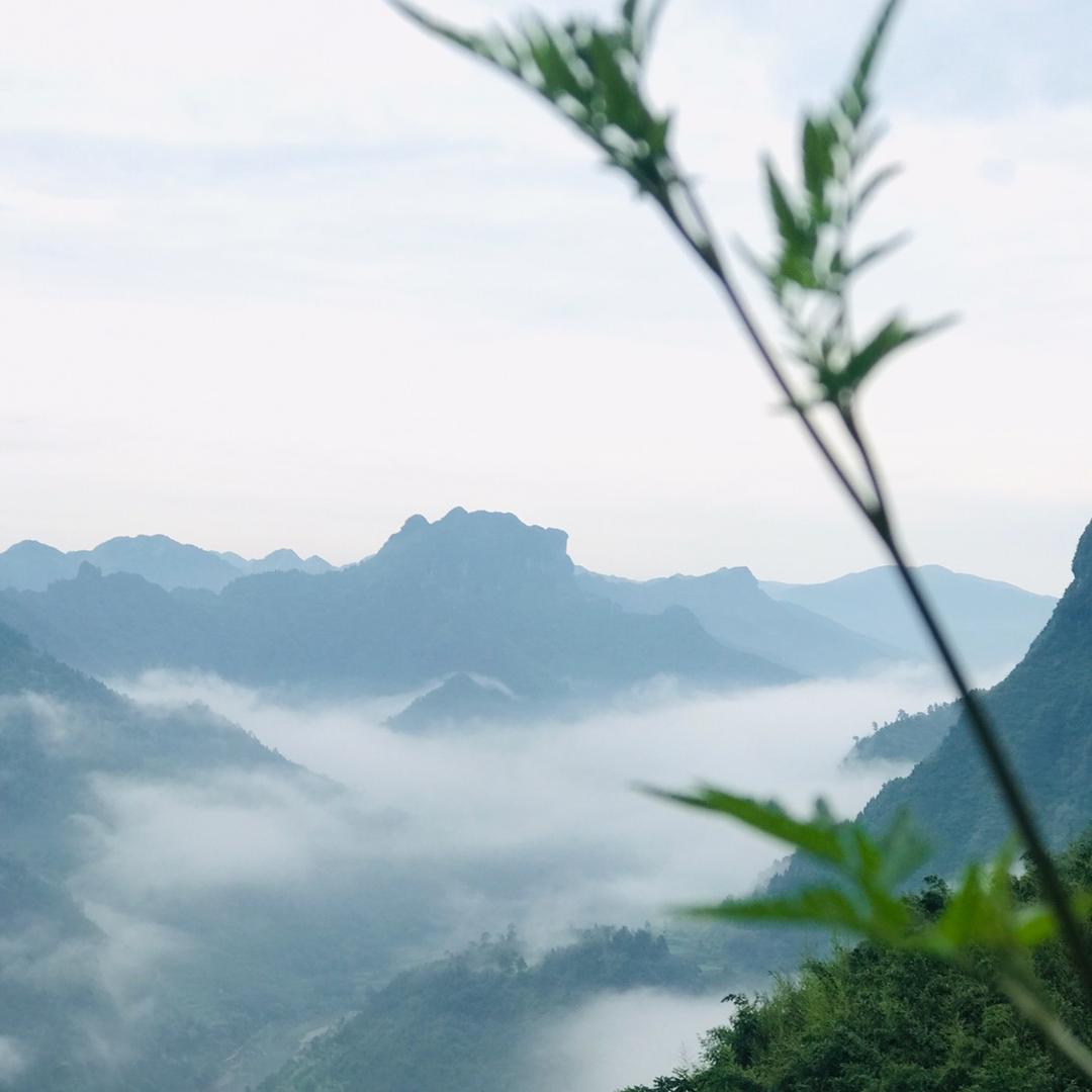 小布点、