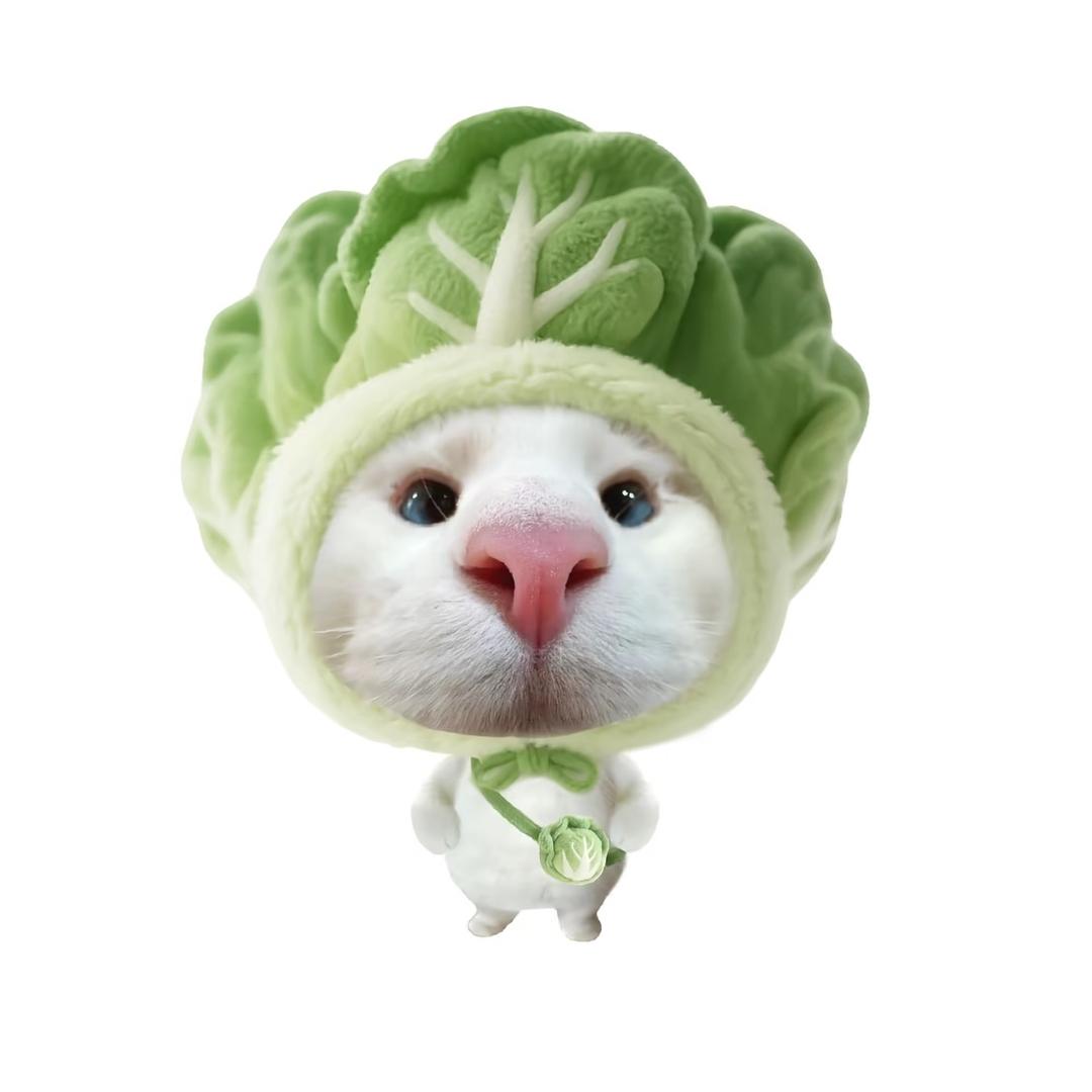 吃饱的时候不饿