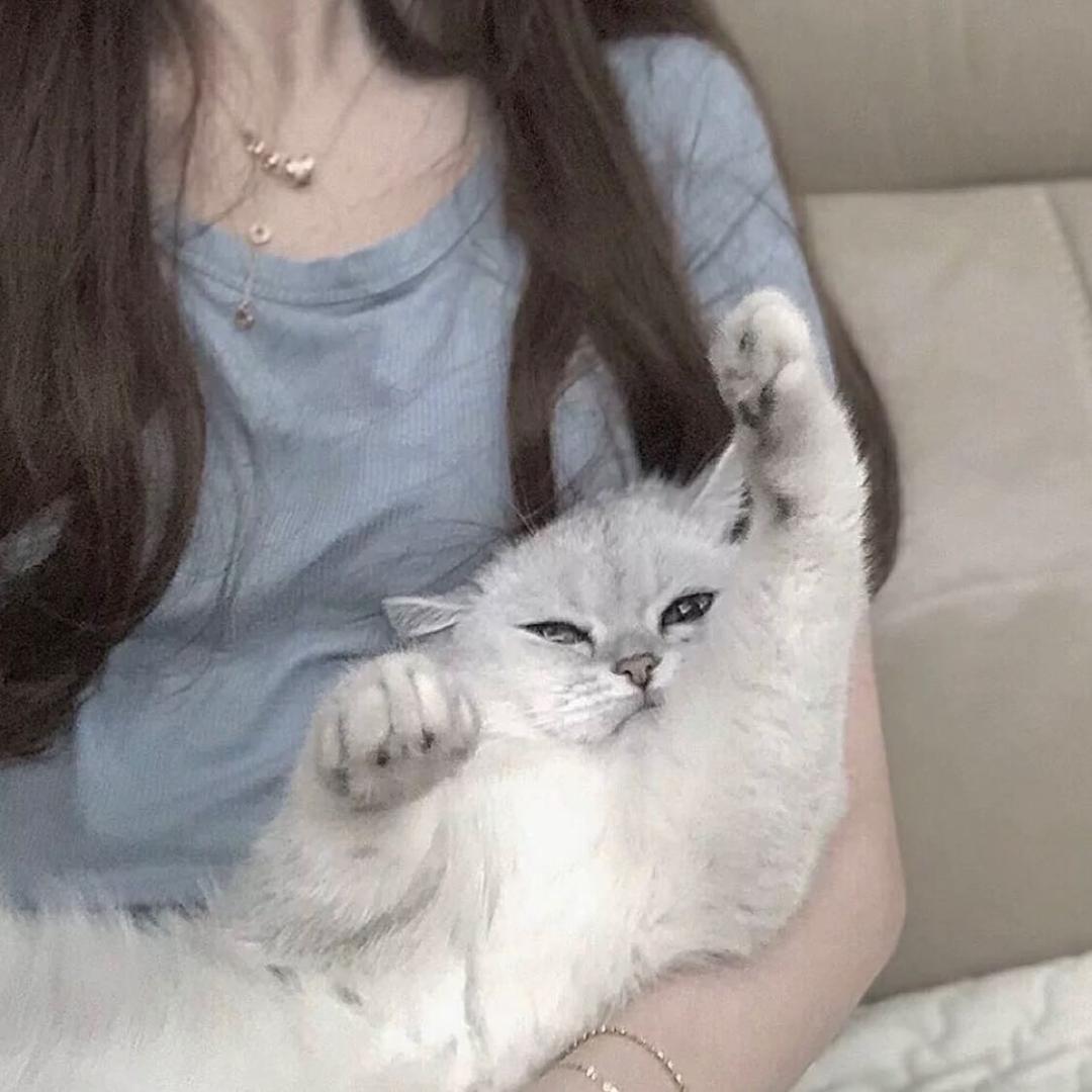 .ʚ.几分热情.ɞ.