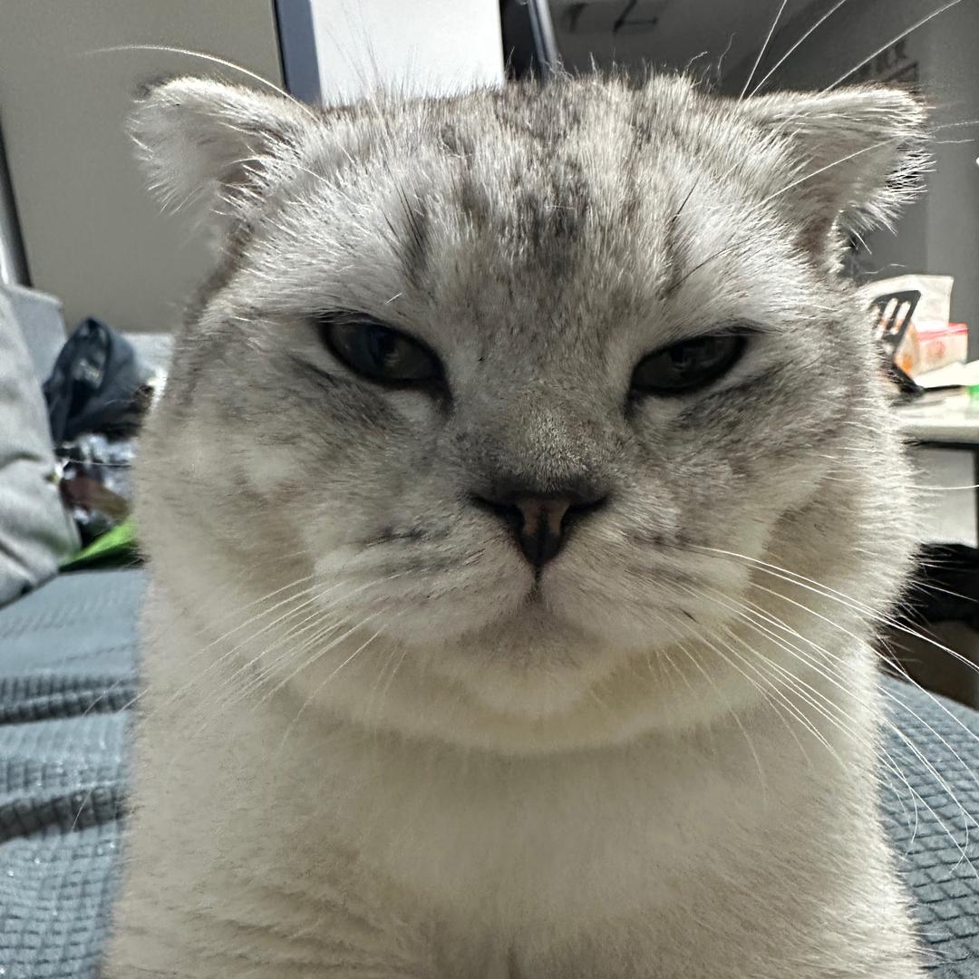 🐷咪来福（橱窗自用好物）