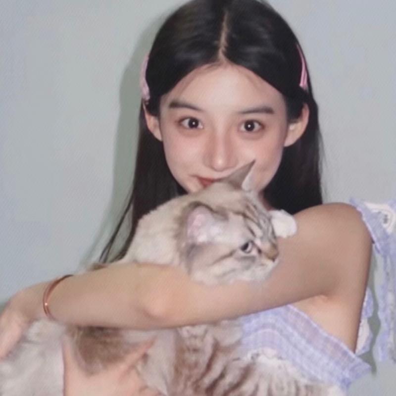 井井.