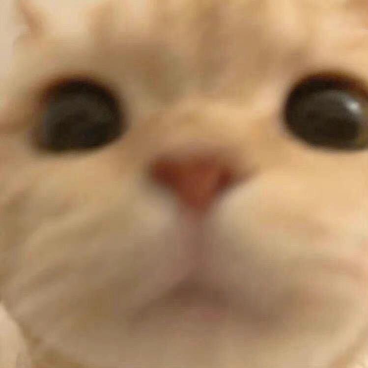 我的头可不是面团捏的