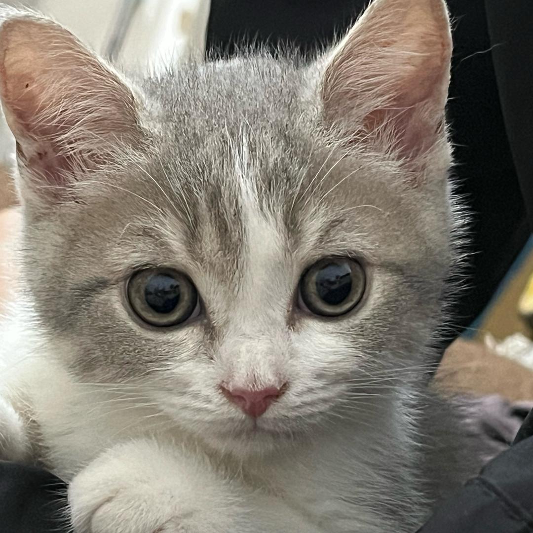 筋膜刀的松筋日记