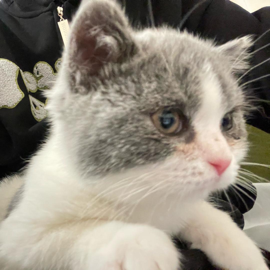 🌷千金一直帅ˋˏᰔᩚˎˊ