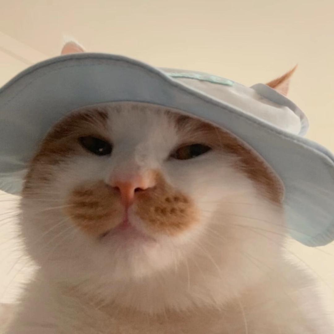 少羽脾气