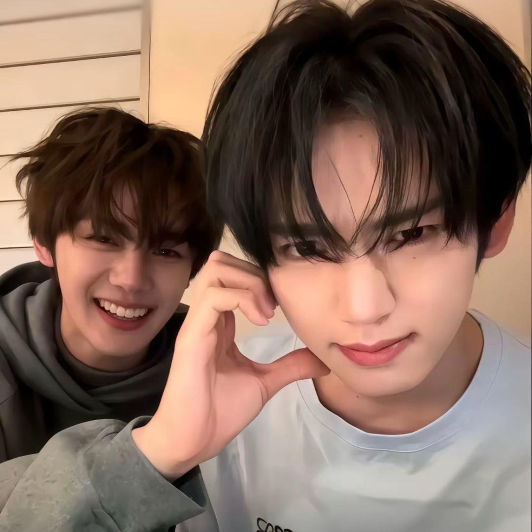 逃离白山茶花园