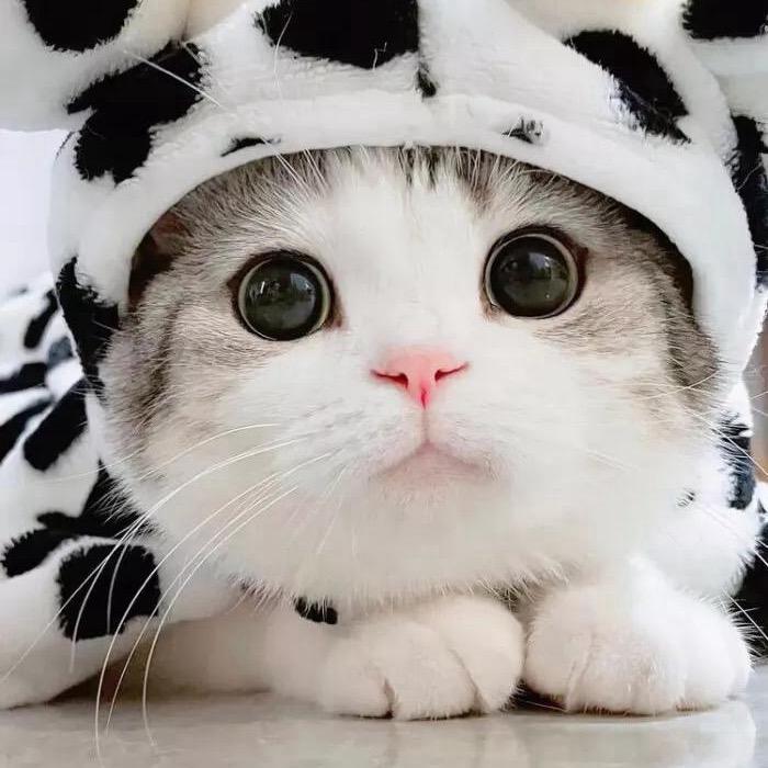 果然是你จุ๊บ