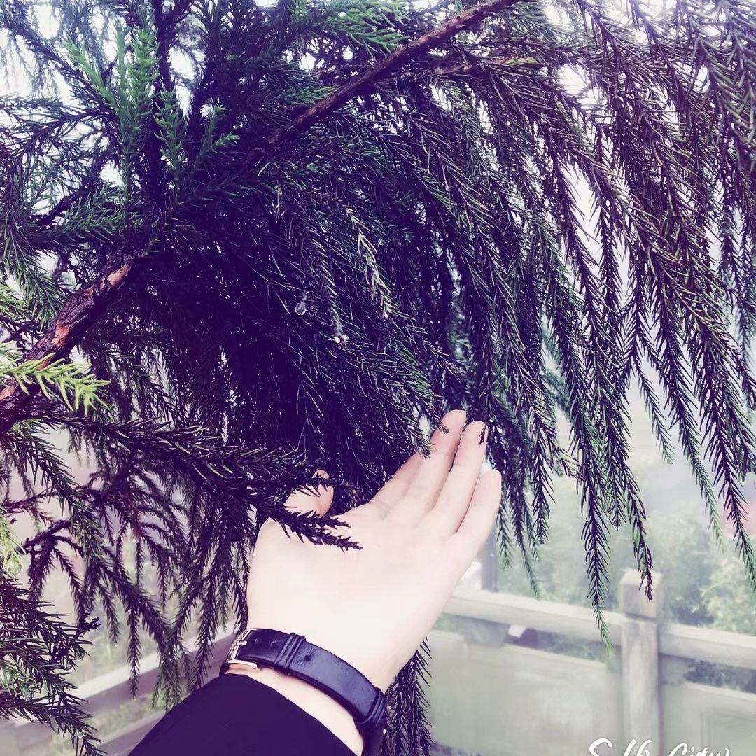 修行，修心，修性