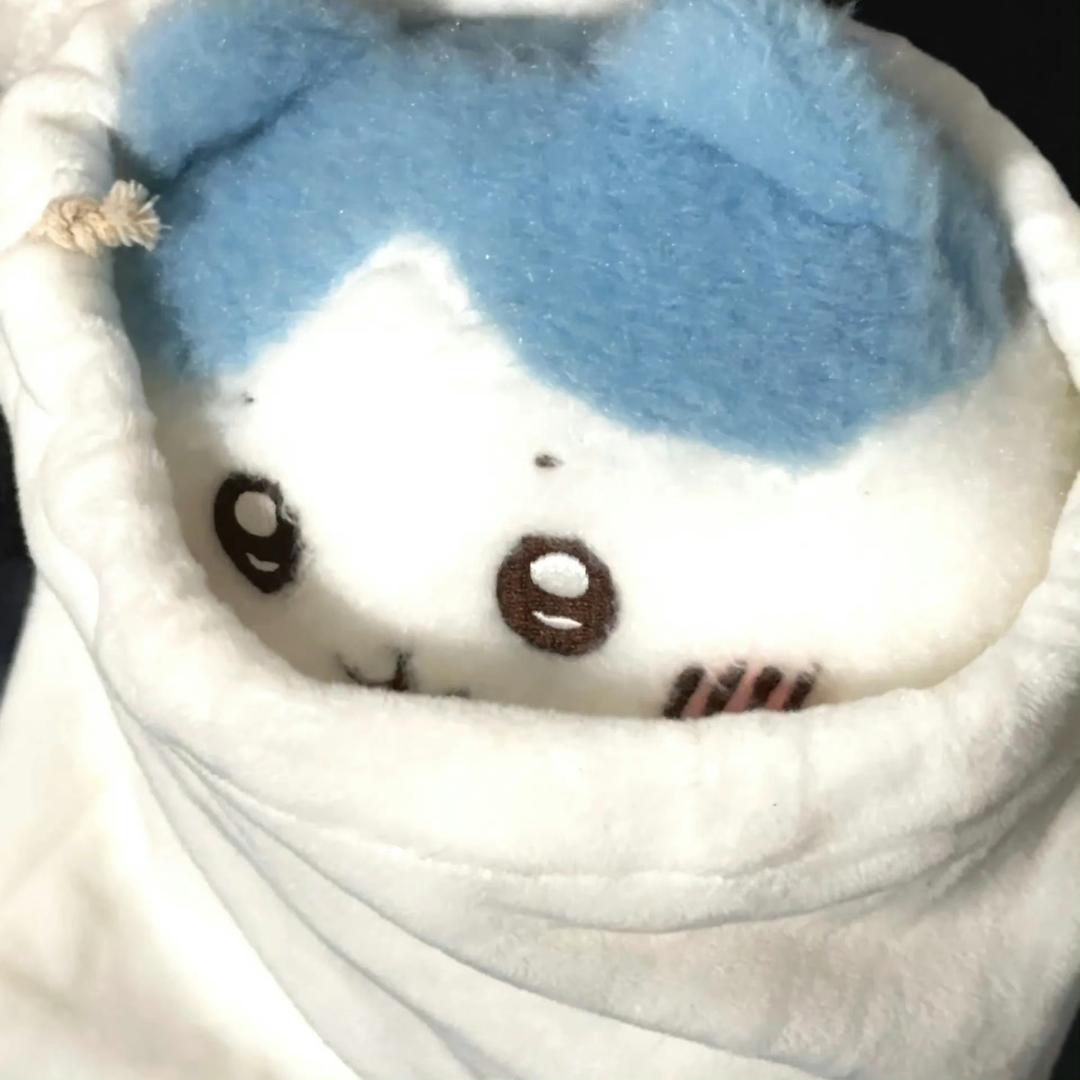权争