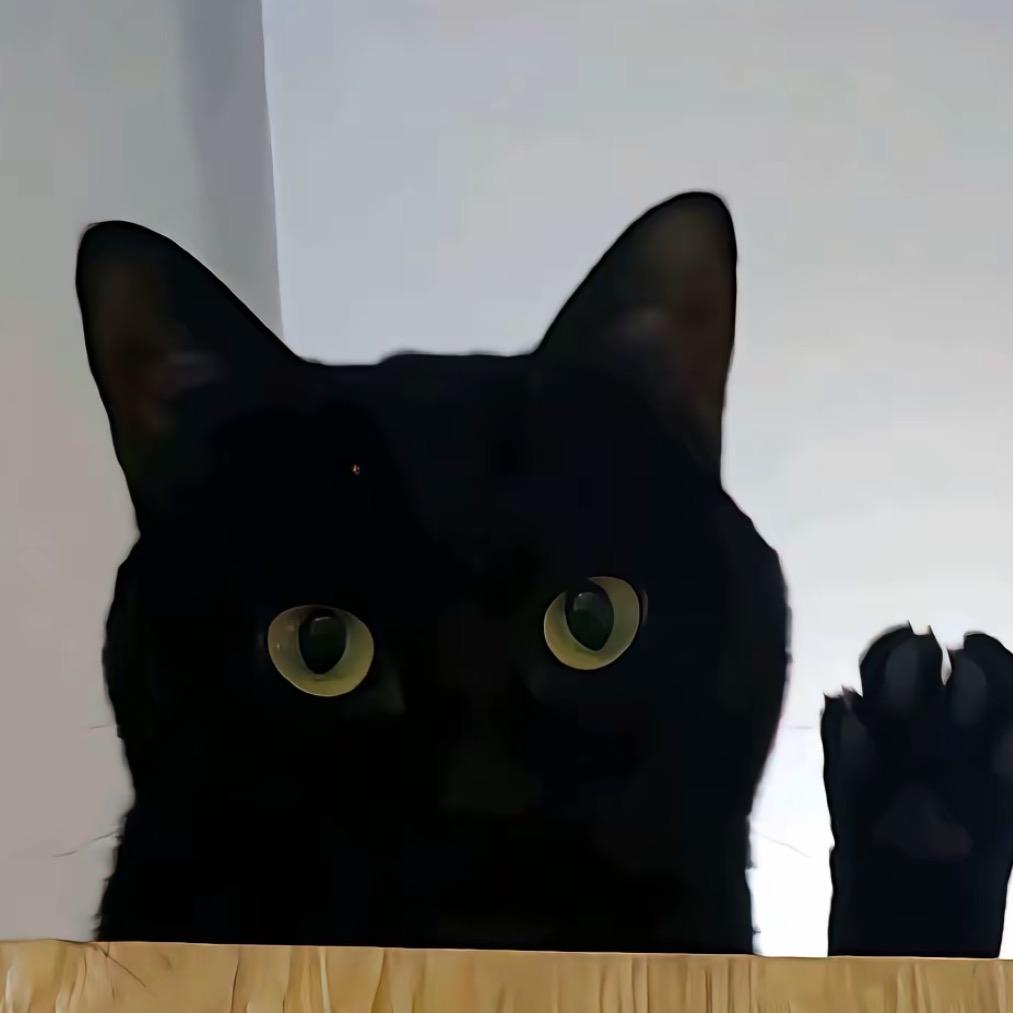 早点睡(三角洲不动）