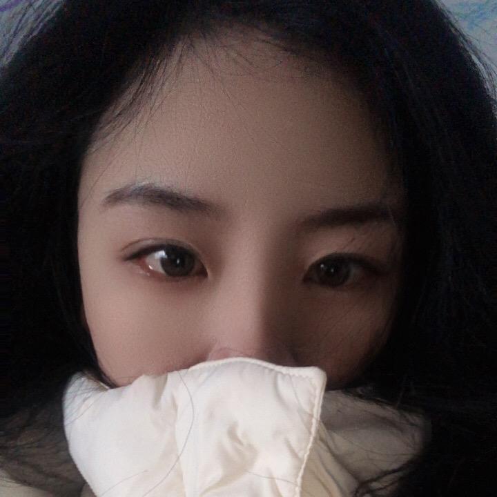 琴