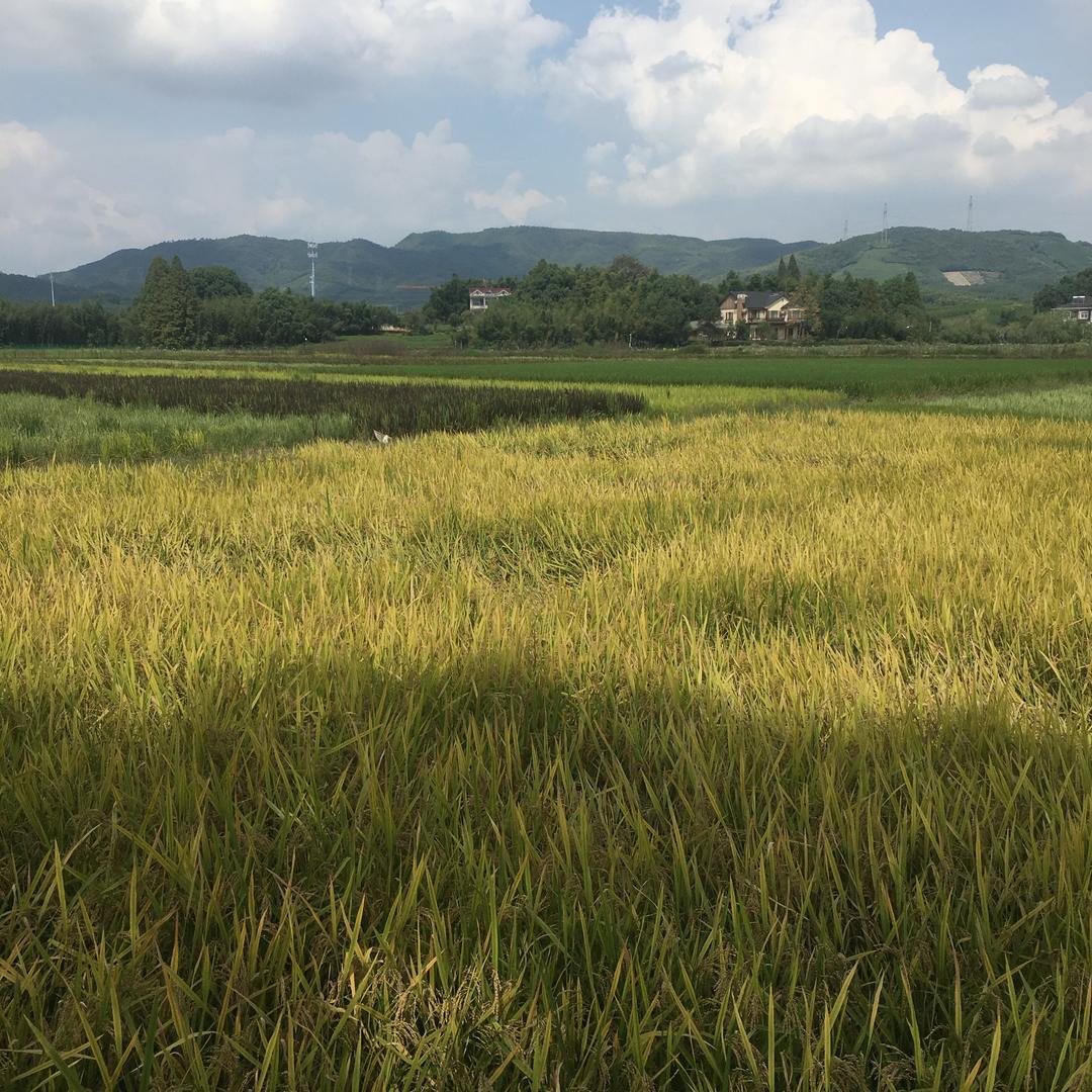 奇品甄选个体店