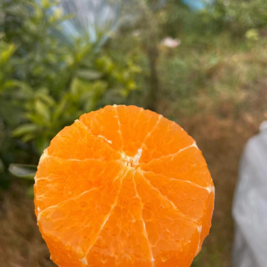 助鲜鲜优品