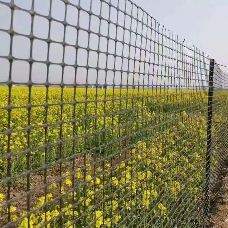 讯优养殖网厂家