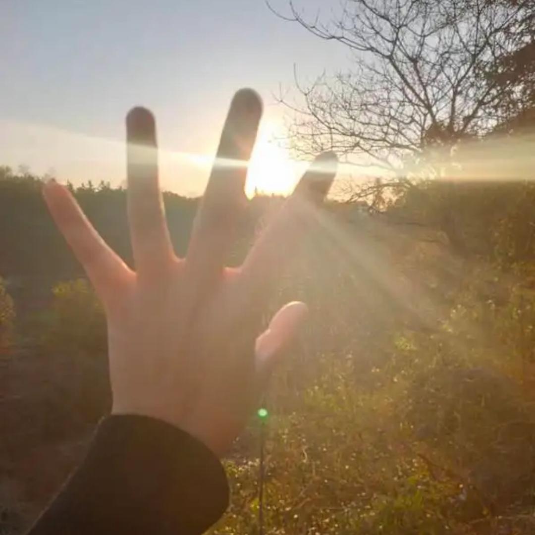 一米阳光☀️