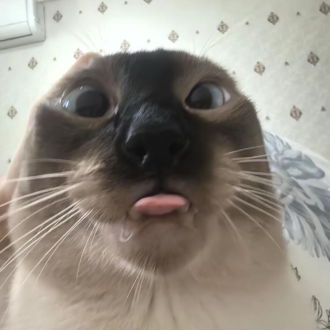 麻辣猪头886