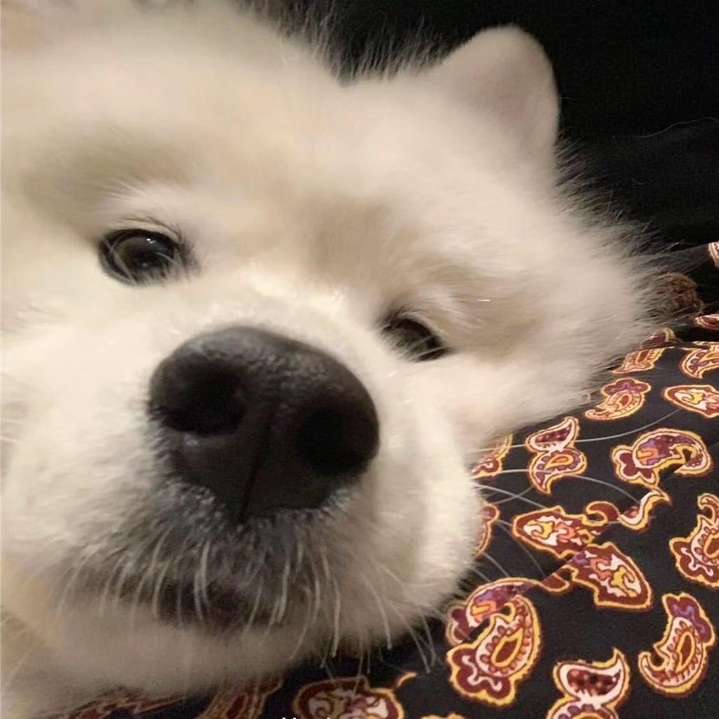 谁呢