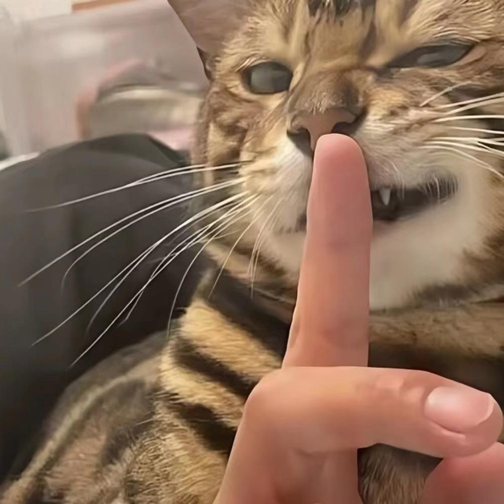 yyyy