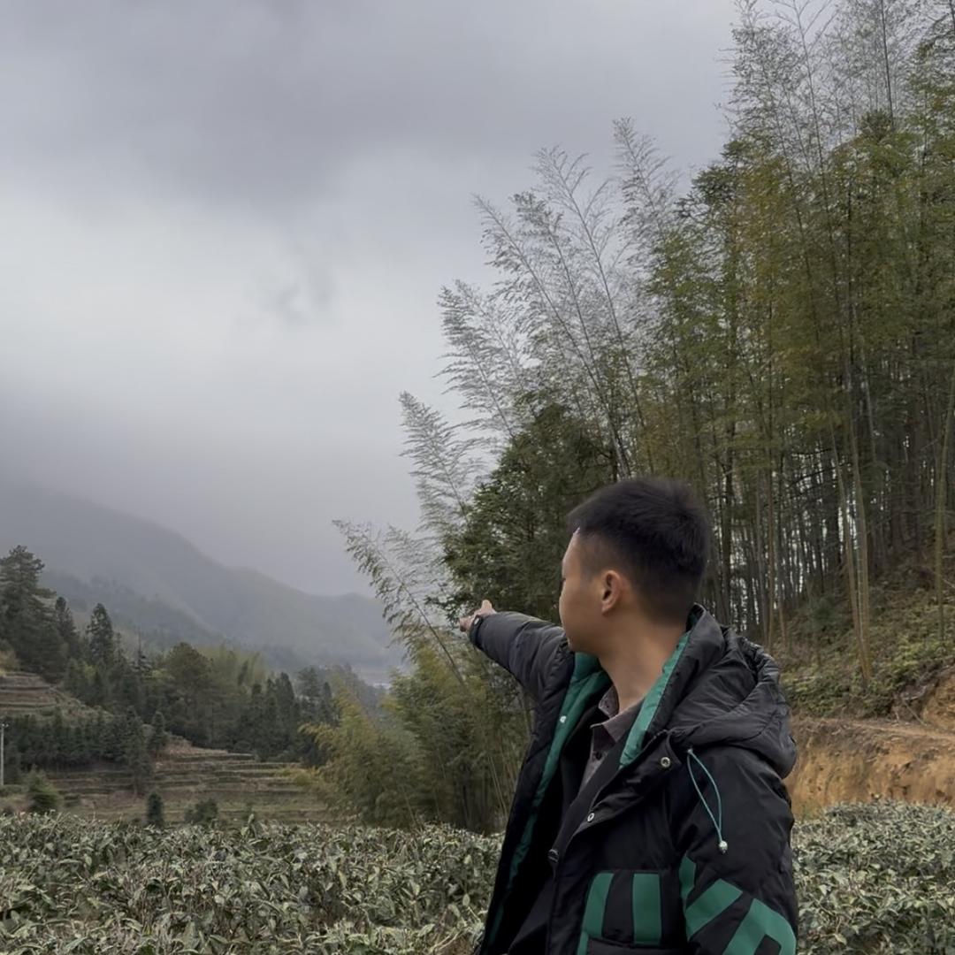江村傅贵高山茶