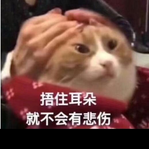 芯芯吱~