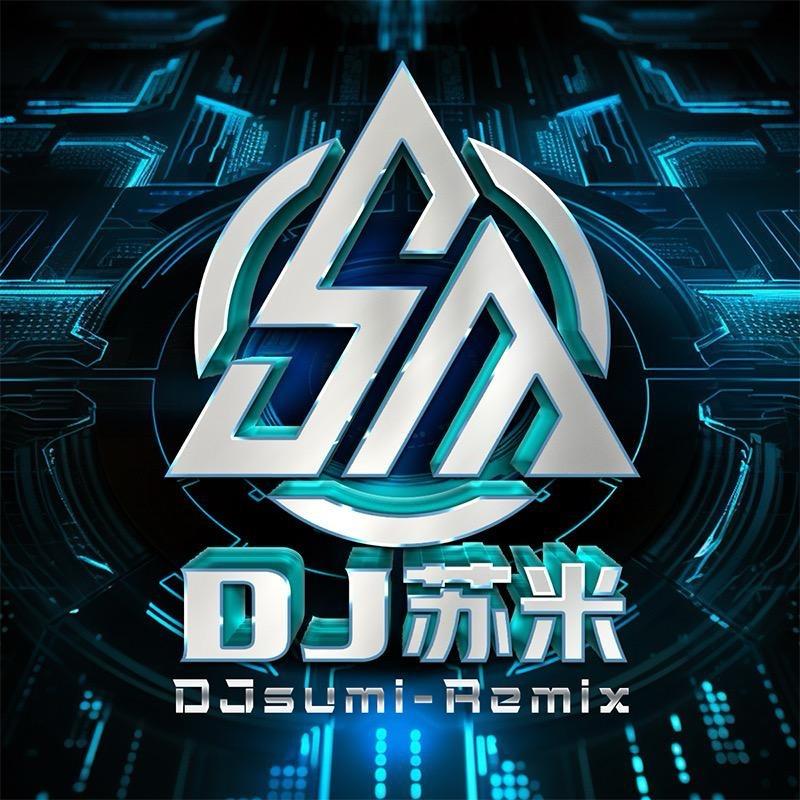 Dj苏米（小号）