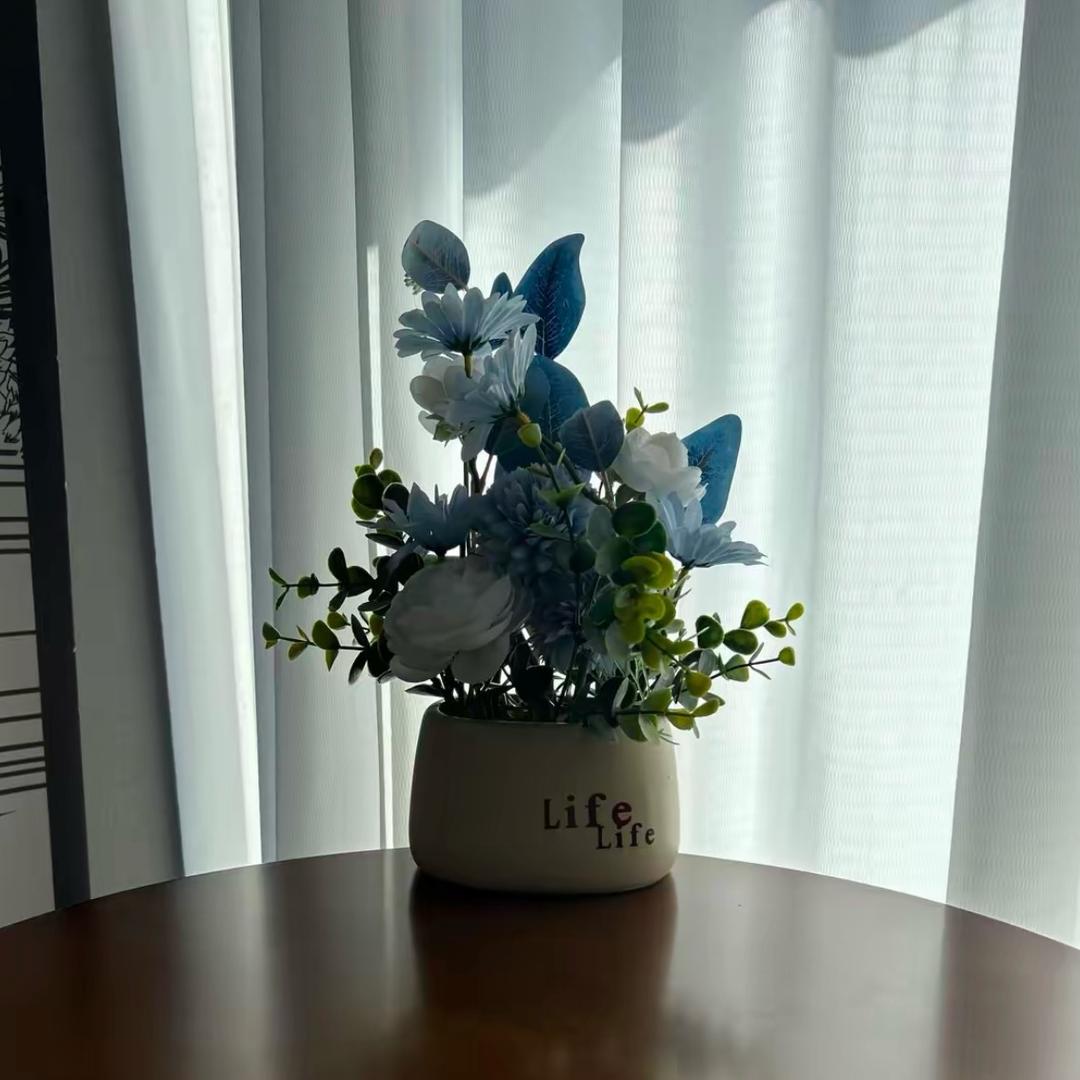 嘉蔫传媒小盛
