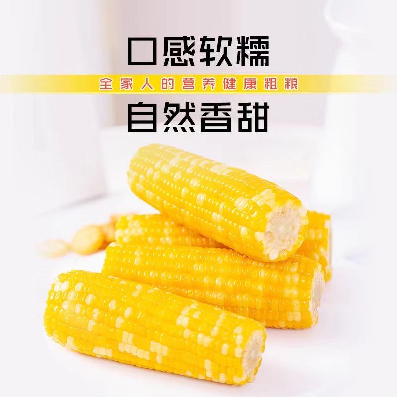 黄金十亩御园玉米